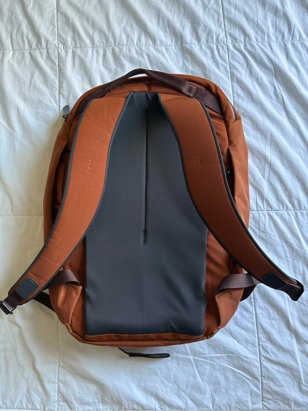 Bellroy 20L Transit Workpack - First edition, Bronze